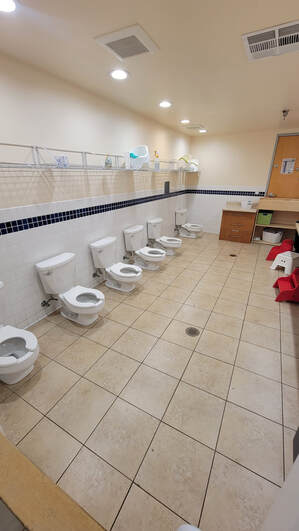 Toilet Repair Los Angeles